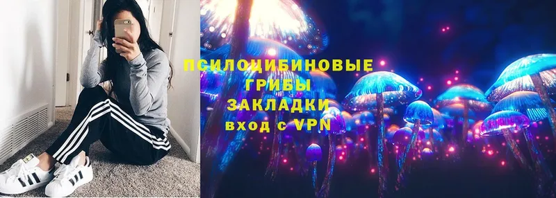 купить закладку  Таганрог  это какой сайт  Галлюциногенные грибы Magic Shrooms 